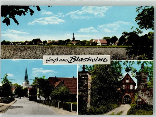 10214971 4990 blasheim - 10214971,