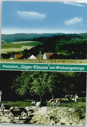 50369868 4990 blasheim - -,