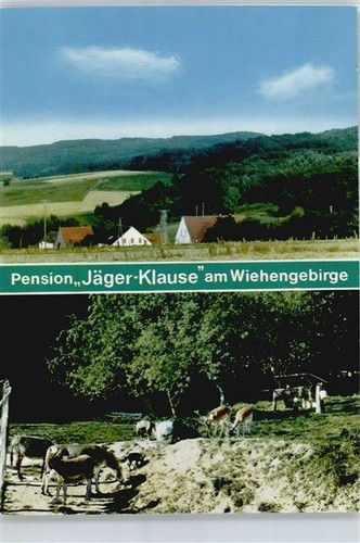 50725076 4990 blasheim - 50725076,