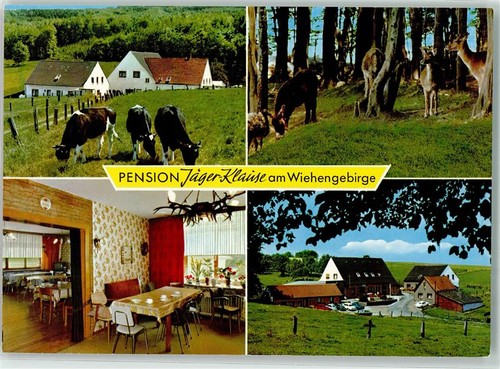 39390802 4990 blasheim - 4990,